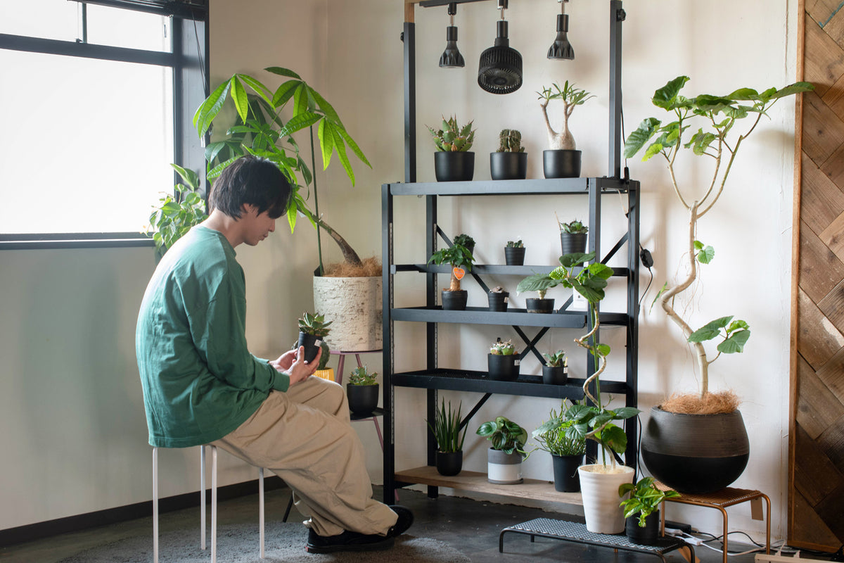 ディスプレイイメージ