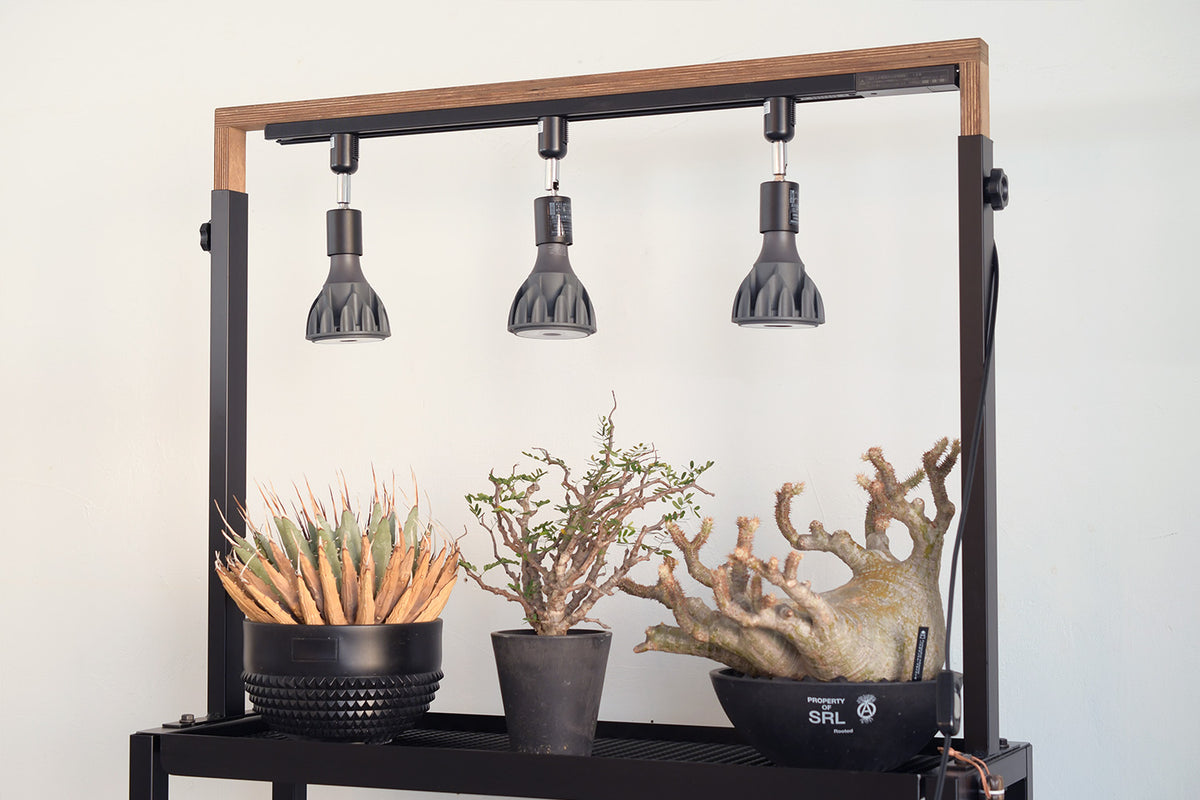 マットブラック