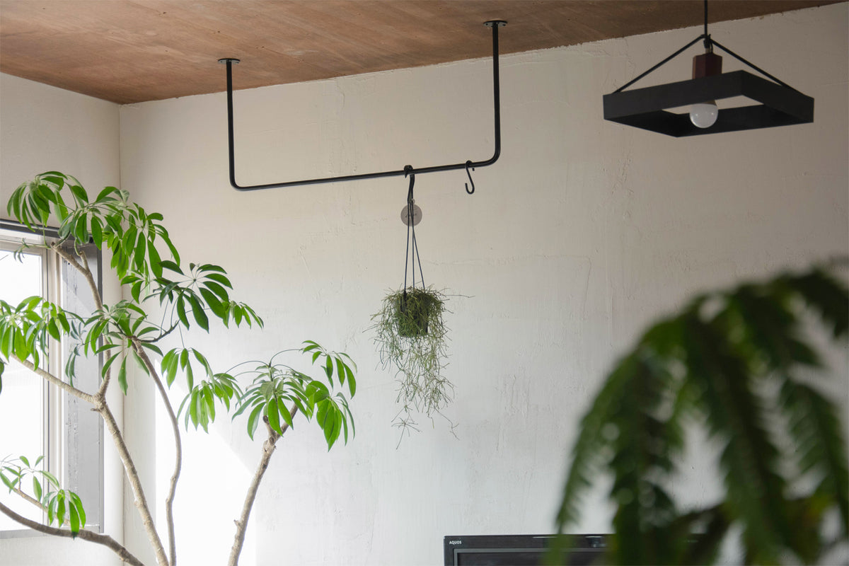 植物のハンギングに