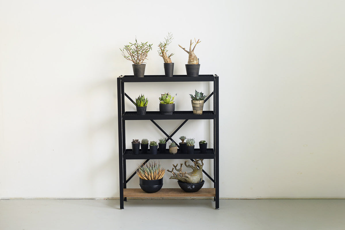 Botanical Rack ボタニカルラック | アイアン家具通販 SULK